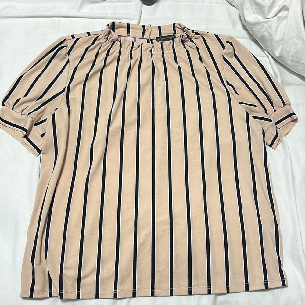 Pink & Black Striped High Neck Blouse